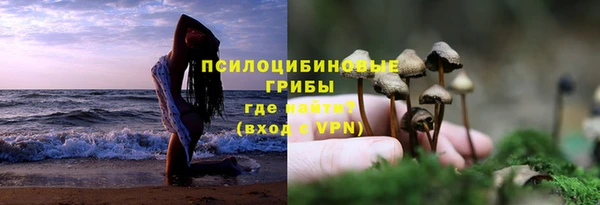 мефедрон Богородицк