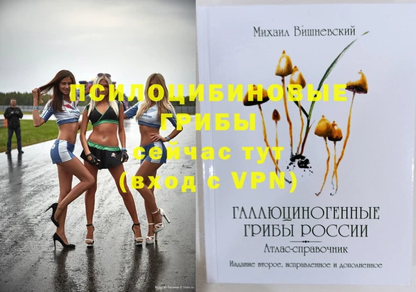 дживик Богданович