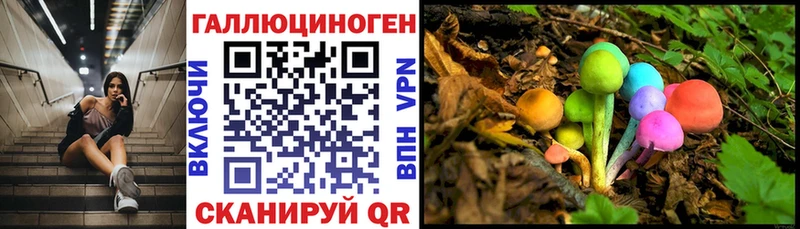 Галлюциногенные грибы прущие грибы  закладки  Берёзовка 