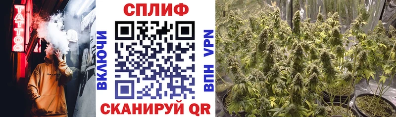 Бошки Шишки сатива Берёзовка
